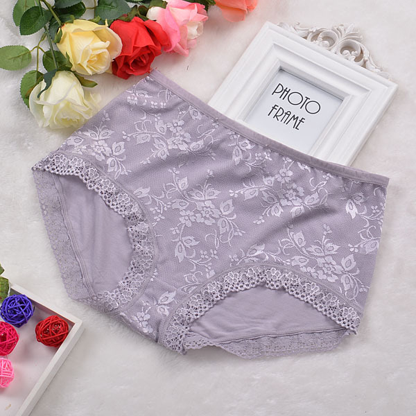 Premium Full Coverage Cotton Net Panties - Image 6